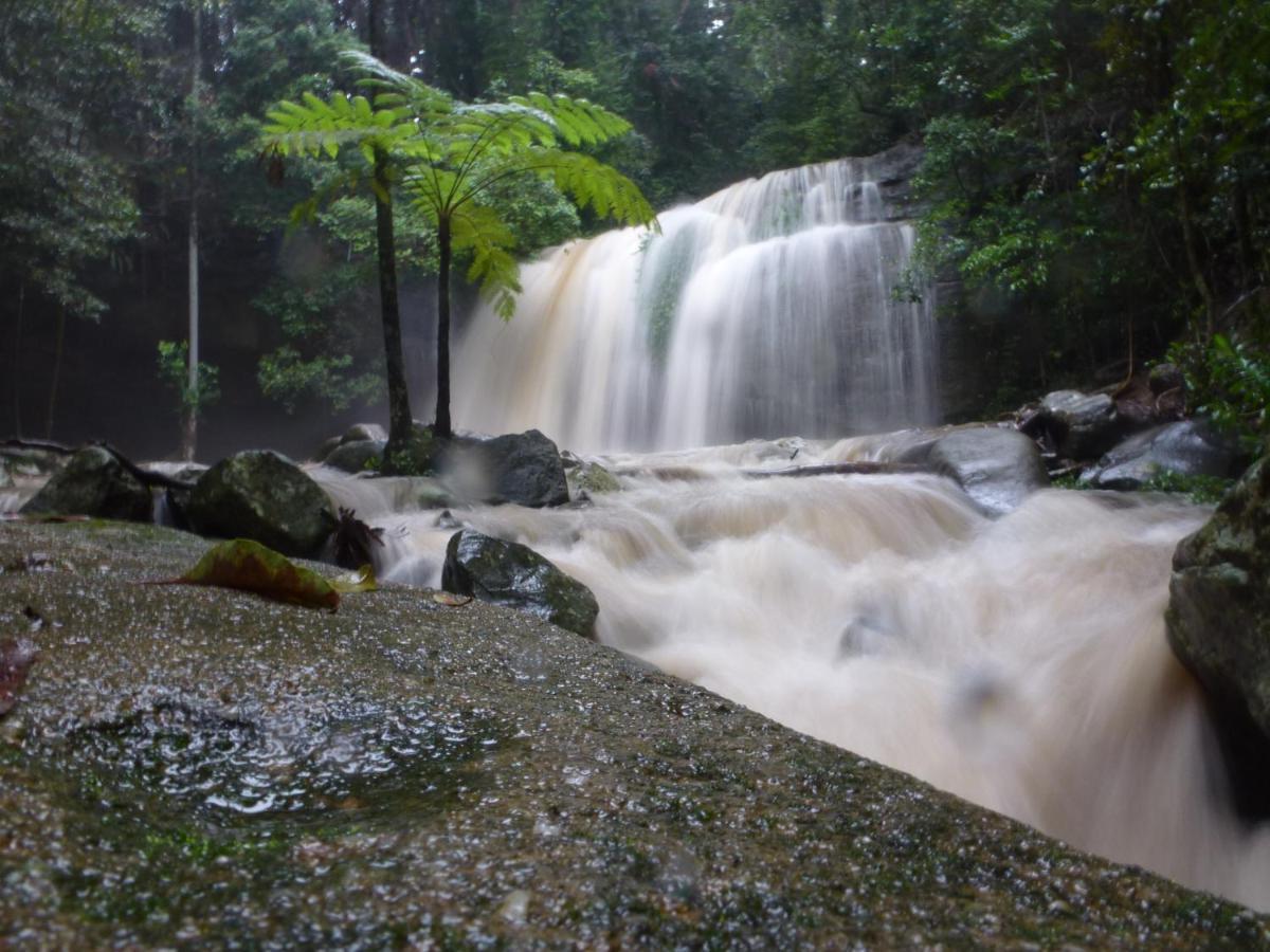Buderim Forest Hideaway Exterior photo